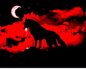 Создать мем: волки красивые, • всемирная ночь воя на луну (worldwide howl at the moon night), волк на красном фоне