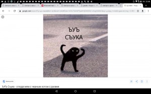 Create meme: black cat meme joy, photo with comments, joy of Shuka black cat meme original