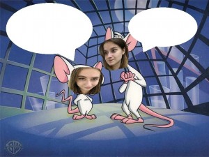 Create meme: pinky, elmyra and the brain, Cartoon, the cartoon about the mice that wanted to take over the world