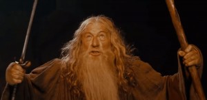 Create meme: Gandalf memes, the Lord of the rings Gandalf, Gandalf the white