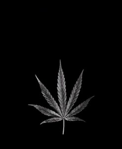 лист марихуаны арт