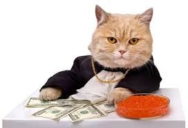 Create meme: cat, rich cat, cat with money