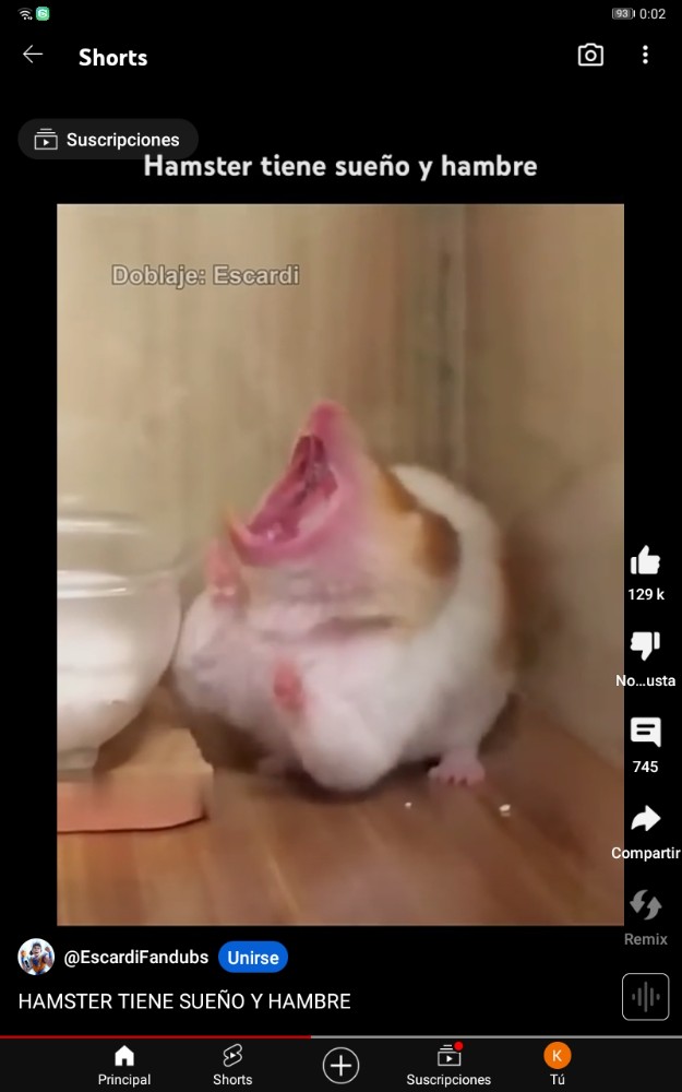 Create meme: the screaming hamster, hamster funny, the hamster in the chamber