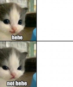 Создать мем: hehe котенок, голубоглазая кошка, мемы