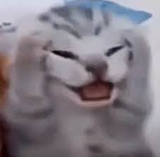 Create meme: screaming cat, meme kitten , screaming cat 