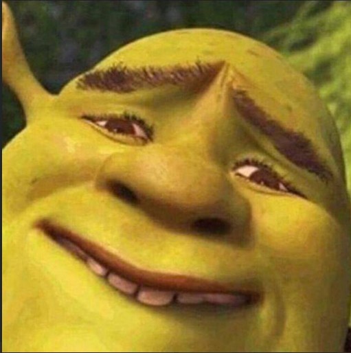 Create meme: shrek face, Shrek 2 , shrek meme