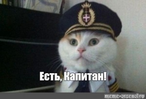 Создать мем: капитан кот, есть капитан, товарищ капитан кот