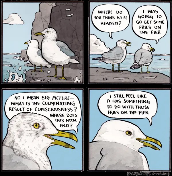 Create meme: comics about birds, jokes comics, Seagull comics