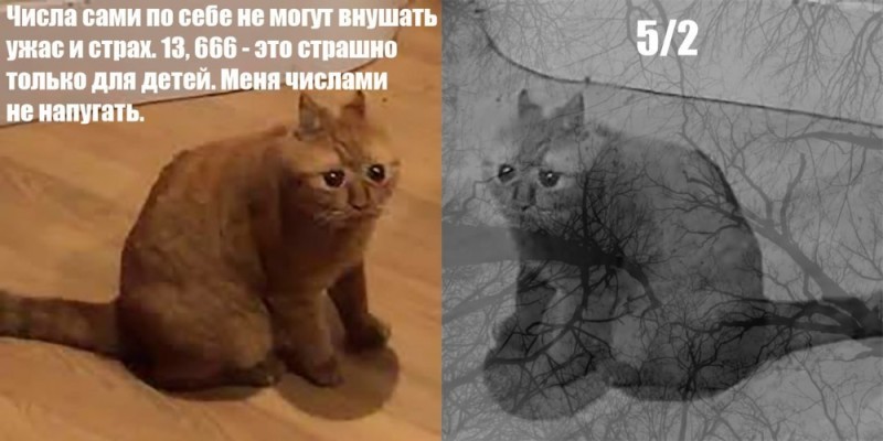 Создать мем: мем котики, всратый кот, кот мем