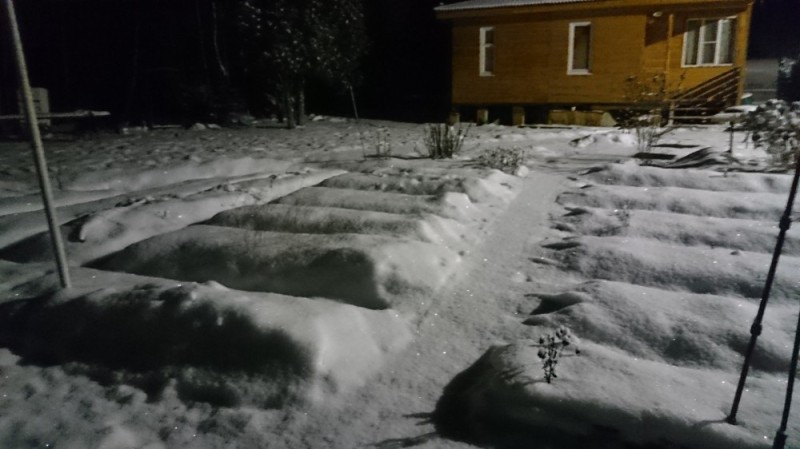 Create meme: we came to a friend's dacha, he says these are beds, beds under the snow, come to the dacha