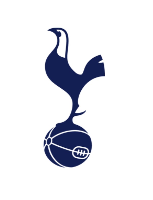 Create meme: Tottenham Hotspur , tottenham emblem pes, tottenham emblem