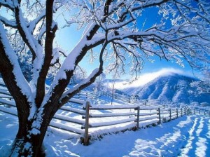 Create meme: winter landscape, snow winter, winter landscape