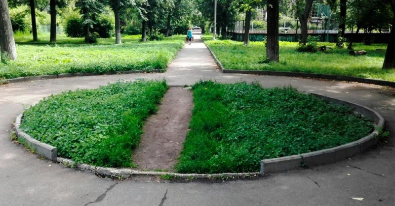 Create meme: a path on the lawn, a well-trodden path through the lawn, well-trodden paths on lawns