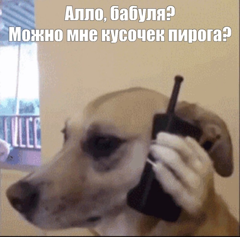 Создать мем: мем собака, собака говорит по телефону мем, собака