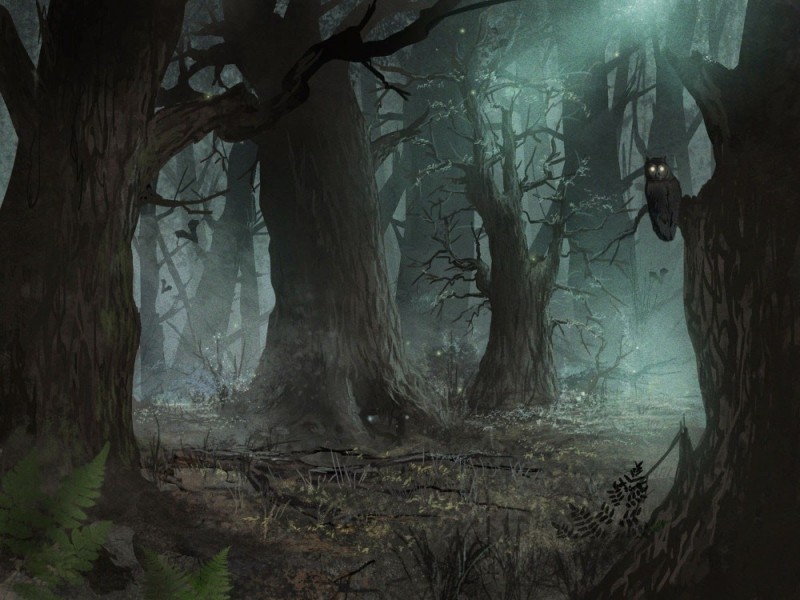 Create meme: dense forest art dark, dark forest art, Dark fantasy forest