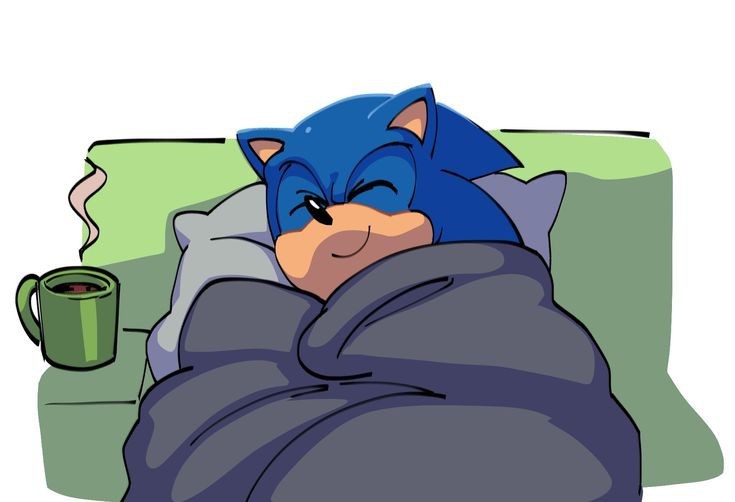 Create meme: Sonic is sleeping, anime , sonic the hedgehog 