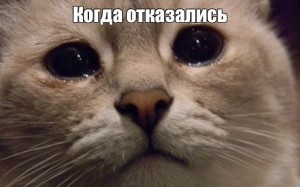 Create meme: sad cat, cat meme, cat with tears