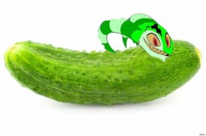 Create meme: cucumber without background, live cucumber, large cucumber