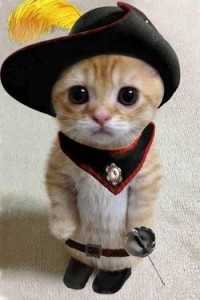 Создать мем: кот, защищайся кот, котик со шпагой и шляпой