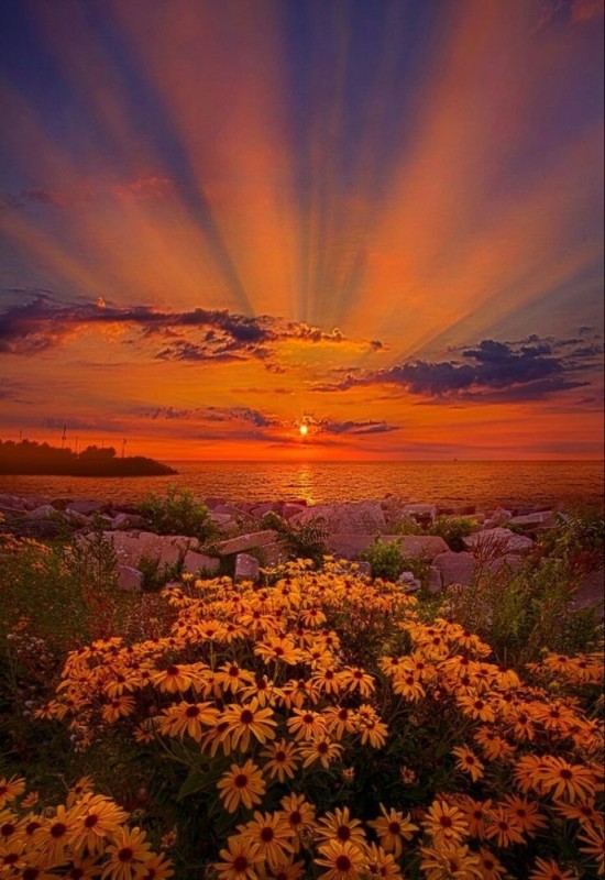 Create meme: nature sunset, the dawn is beautiful, sunset in the field