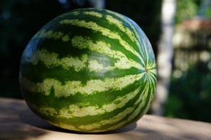 Create meme: large watermelon, ripe watermelon, watermelons