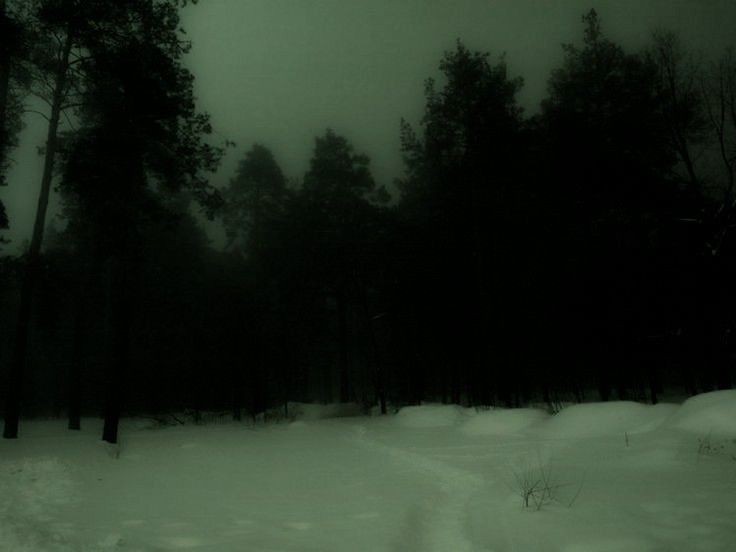 Create meme: the forest dark, dark forest, gloomy winter forest
