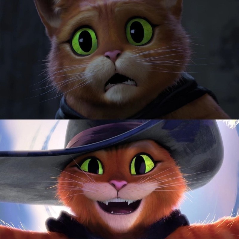 Create meme: cartoon puss in boots, puss in boots from Shrek, the adventures of puss in boots 