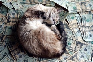 Создать мем: богатый кот, денежный кот, кот с рублями