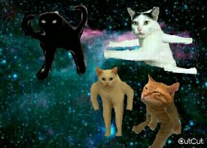 Create meme: dogs and cats, space GIF, gifs space