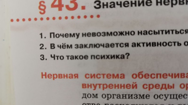 Создать мем: мозг и психика, от заикания таблетки отзывы для взрослых людей, спинной мозг функции