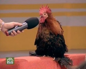 Create meme: rooster forgot to ask the picture, cock Dima, cock with microphone meme