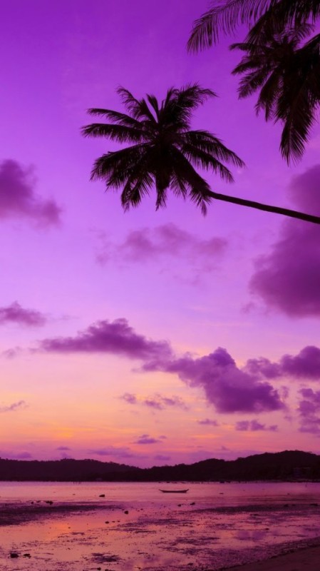 Create meme: sea beach sunset, landscape beach, pink and purple palm trees