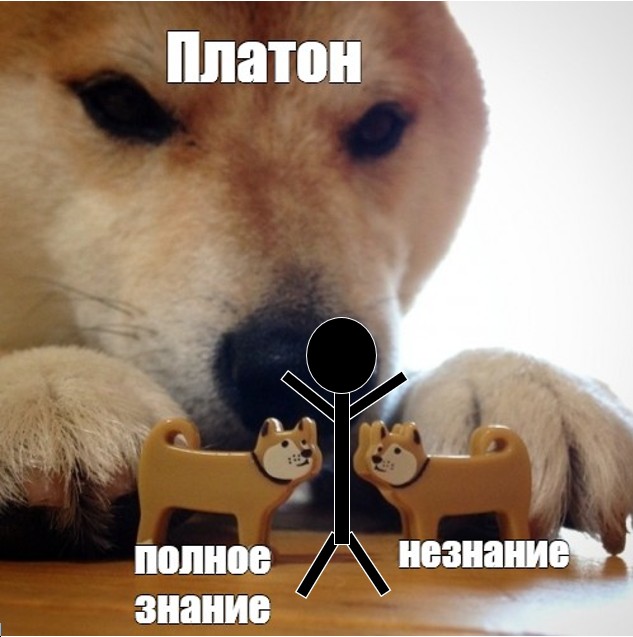 Create meme: akita inu meme, meme dog , dog bites