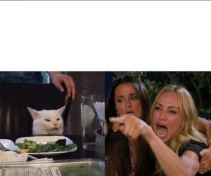 Create meme: woman yelling at a cat memes, angry woman and cat meme, woman yelling at cat