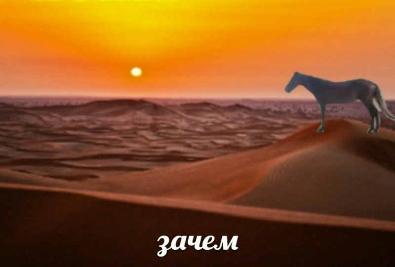 Создать мем: пустыня на закате, белая лошадь в пустыне, пустыня