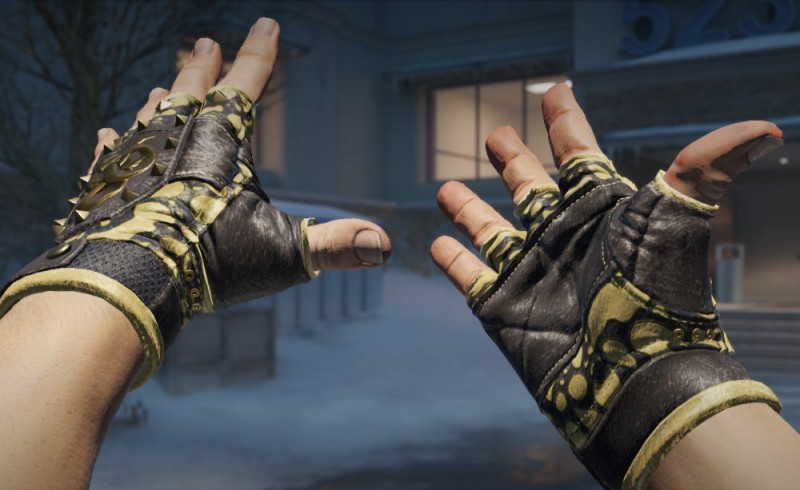 Create meme: cs go bloodhound gloves, gloves in cs go, cs gloves