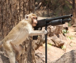 Create meme: smart monkey photo, monkey sitting photo, a monkey with a grenade photos