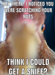 Создать мем: задумчивая курица мем, типичная курица, курица мем