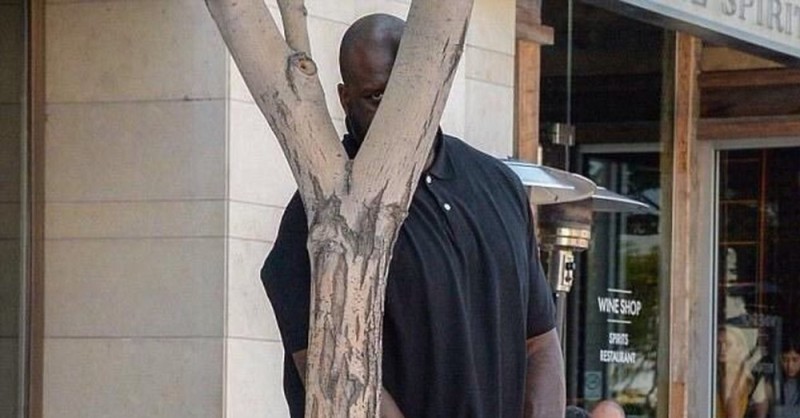 Create meme: nigger behind the tree, The negro is hiding behind a tree, Shaquille oneal tree