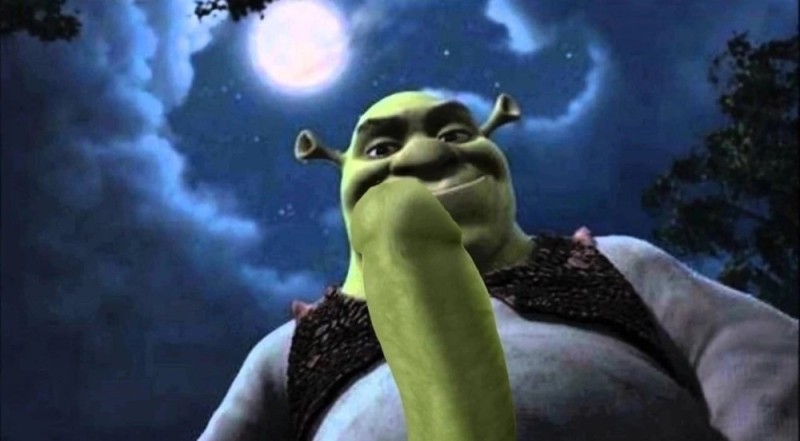 Create meme: Shrek the third, Shrek and his friends, shrek cartoon