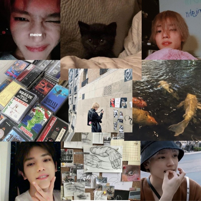 Create meme: bombay cat, bts cards, straight kids