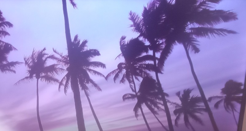 Create meme: purple palm trees, background of the tropics, beautiful palm trees