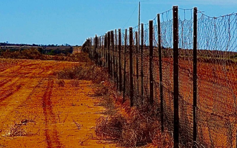Создать мем: забор в австралии реальное, австралийский забор, забор от динго в австралии