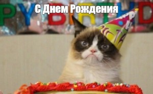 Create meme: birthday , sad cat birthday, cat birthday