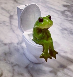 Create meme: frog frog, frog