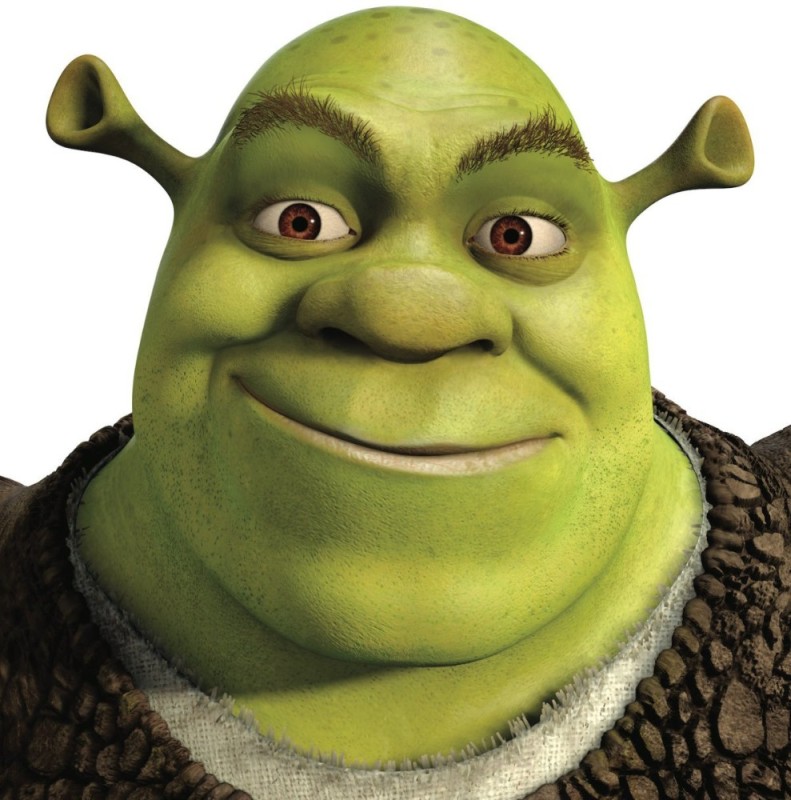 Create meme: the face of Shrek, Shrek Shrek, shrek head