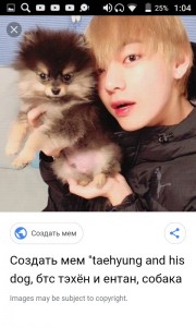 Create meme: funny photos of dogs EnCana Kim tahina, taehyung, entan dog tahina