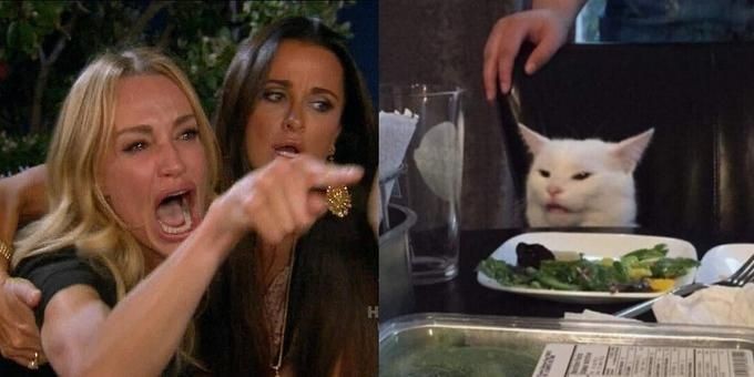 Создать мем: недовольный кот мем за столом, мемы с двумя девушками и котом, мем женщина и кот