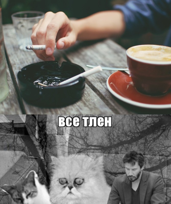 Создать мем: всё тлен, кот безысходность, пепел и кофе