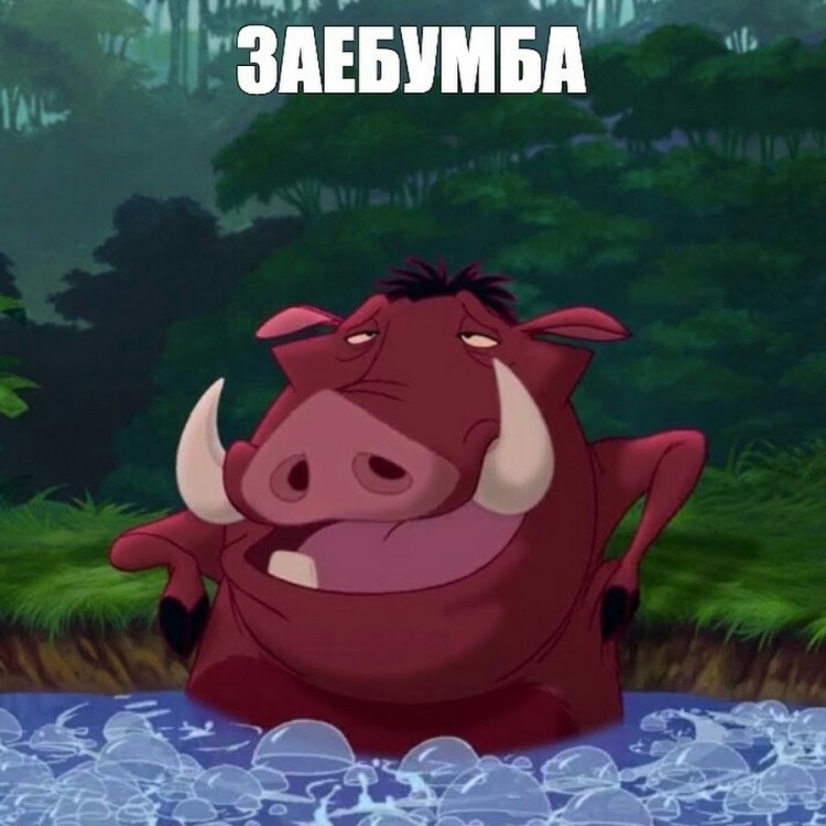 Create meme: FUIB , Timon and Pumbaa , Pumbaa from the cartoon